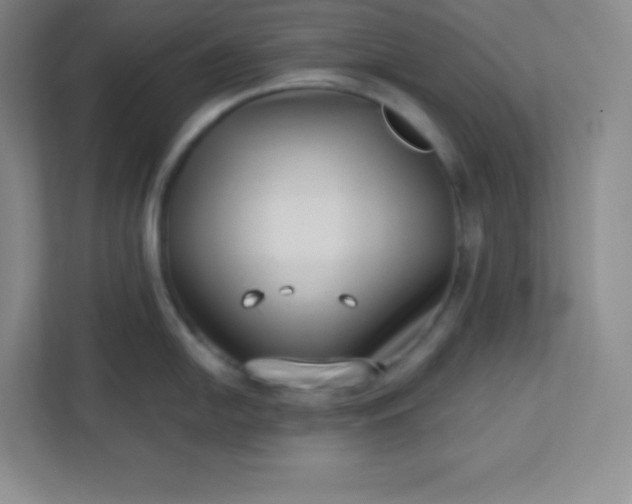 X0000113321054200909281203