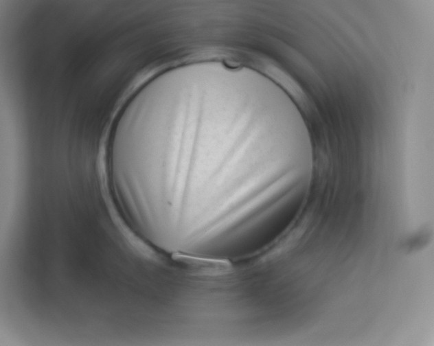 X0000113321055200909281203