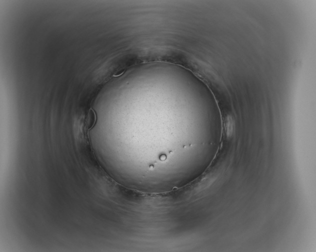 X0000113321059200909281203