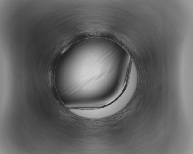 X0000113321060200909281203