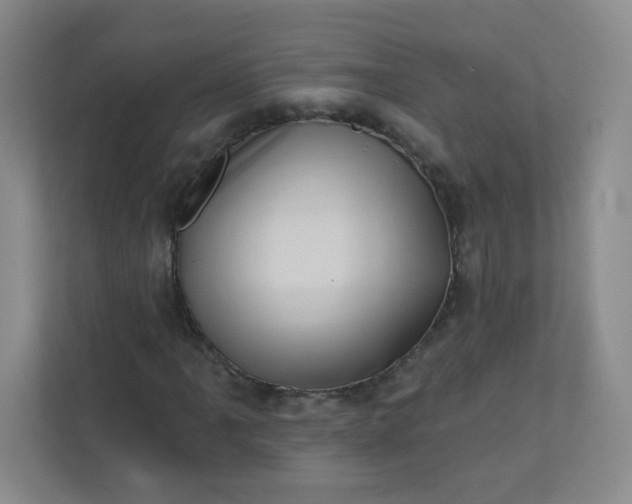 X0000113321061200909281203