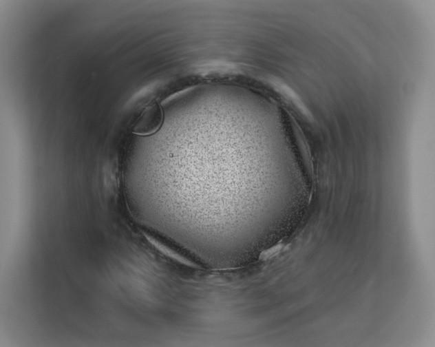 X0000113321063200909281203