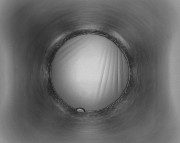 X0000113321064200909281203