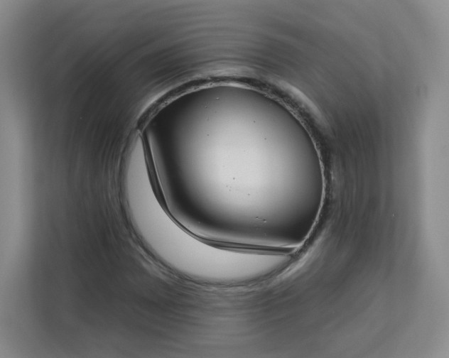 X0000113321065200909281203