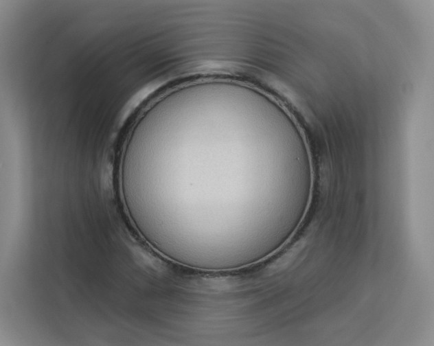 X0000113321066200909281202