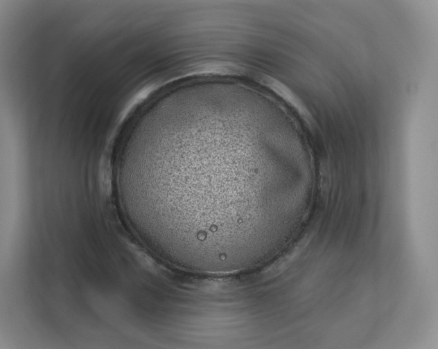 X0000113321067200909281202