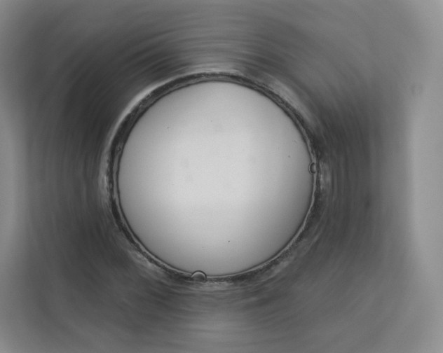 X0000113321068200909281202