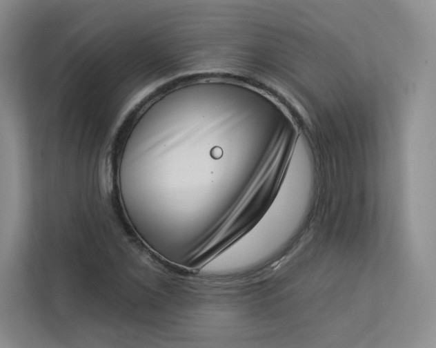 X0000113321069200909281202