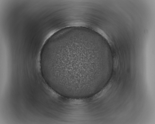 X0000113321071200909281202