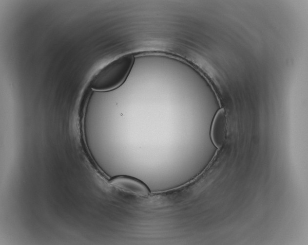 X0000113321072200909281202