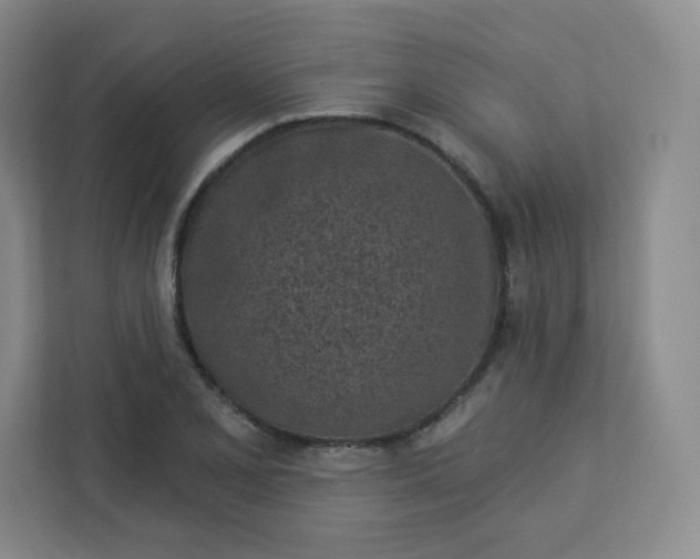 X0000113321077200909281202