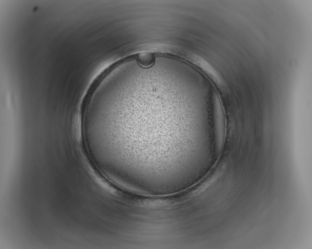 X0000113321079200909281202