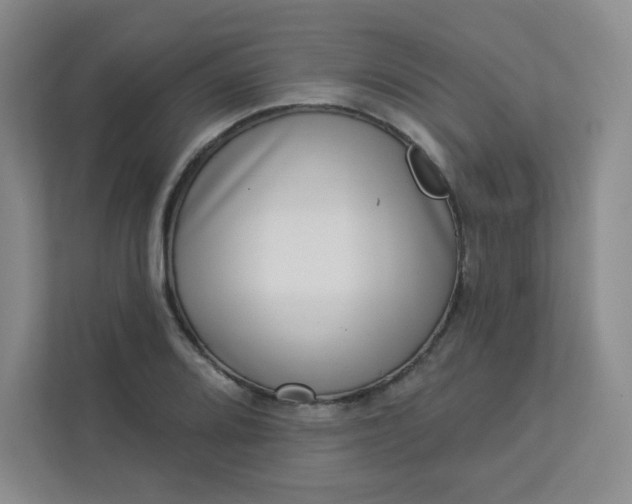 X0000113321080200909281202