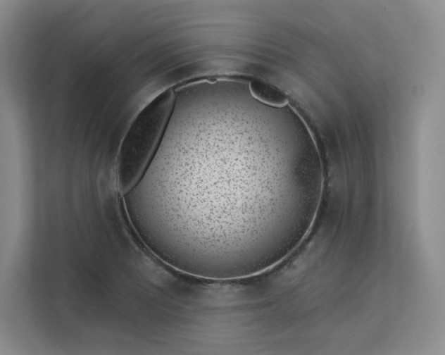 X0000113321081200909281202