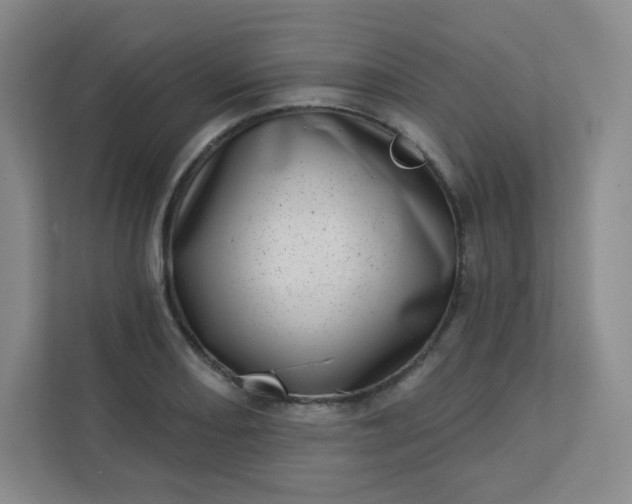 X0000113321082200909281202