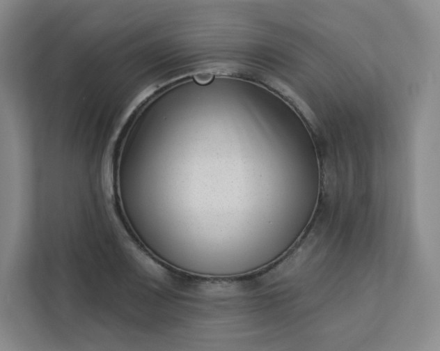 X0000113321083200909281202