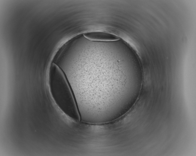 X0000113321088200909281202