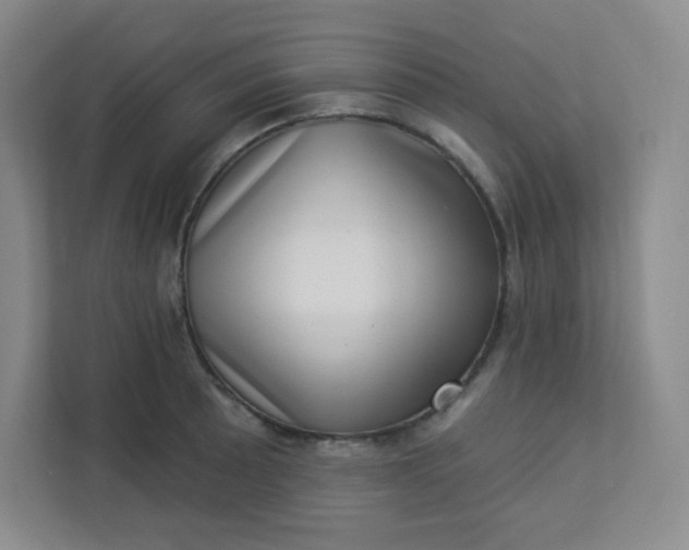 X0000113321089200909281202