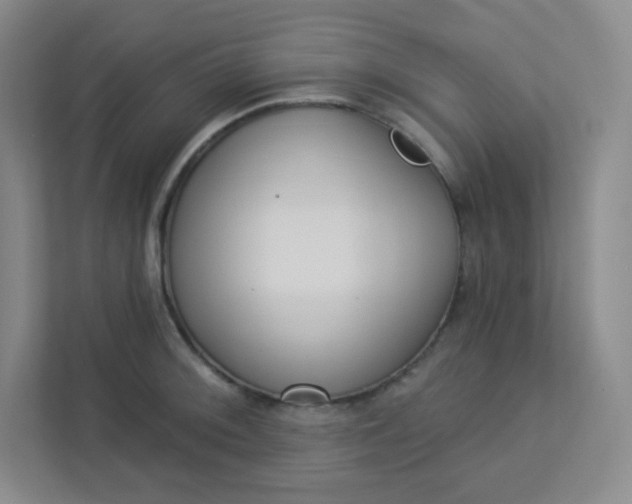 X0000113321092200909281202