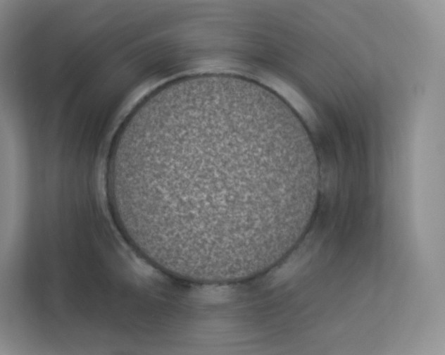 X0000113321094200909281202