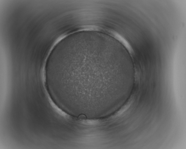 X0000113321095200909281202