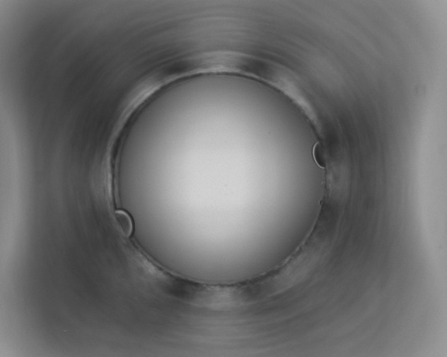 X0000113321096200909281202