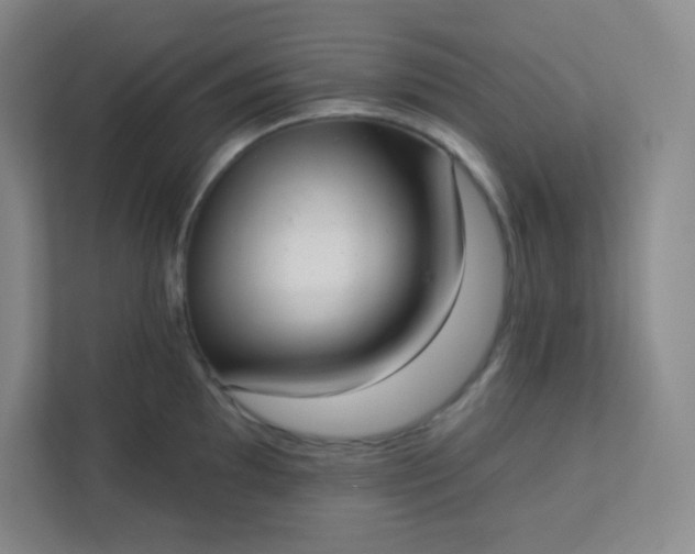 X0000113321097200909281202