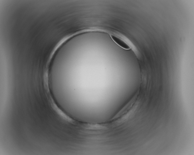 X0000113321100200909281202