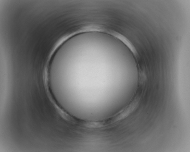 X0000113321101200909281202