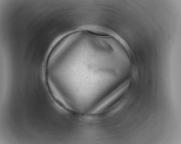 X0000113321102200909281202