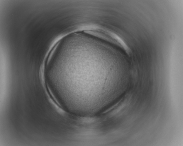 X0000113321103200909281202