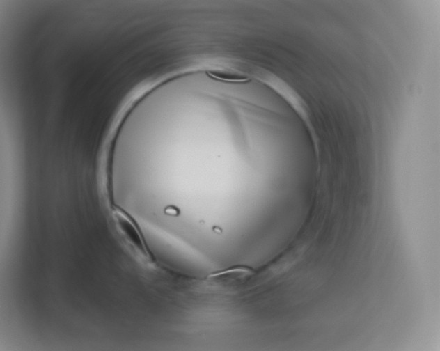 X0000113321104200909281202