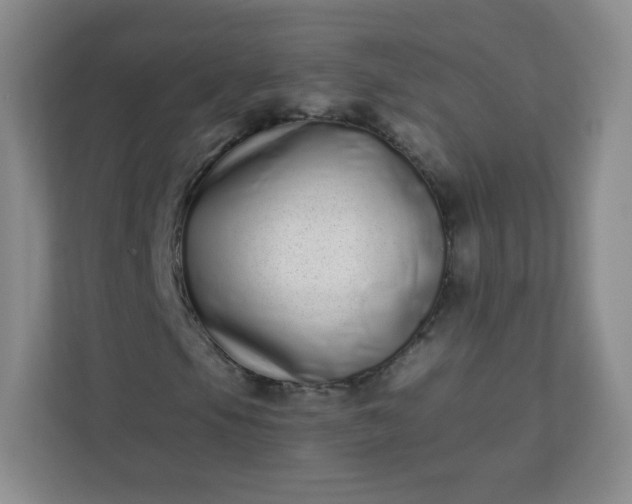 X0000113321105200909281201