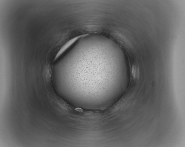 X0000113321107200909281201