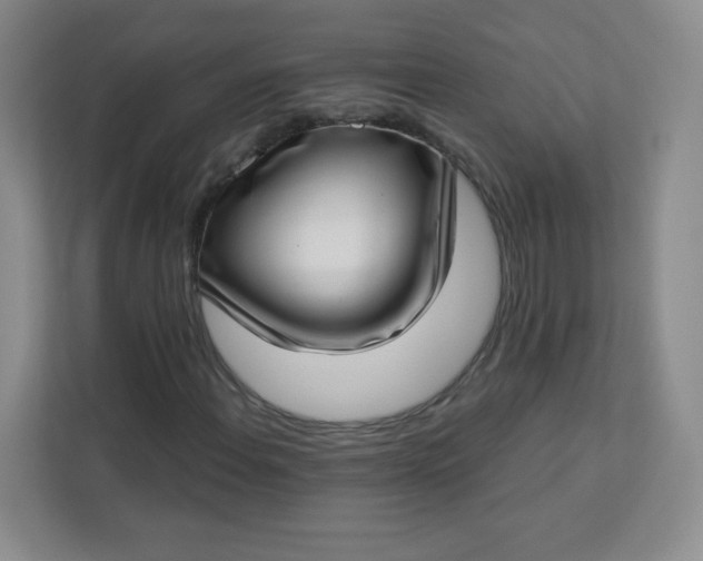 X0000113321108200909281201