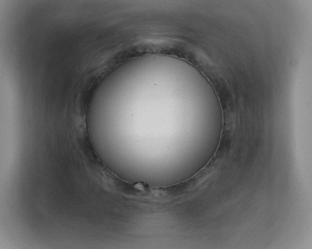 X0000113321109200909281201