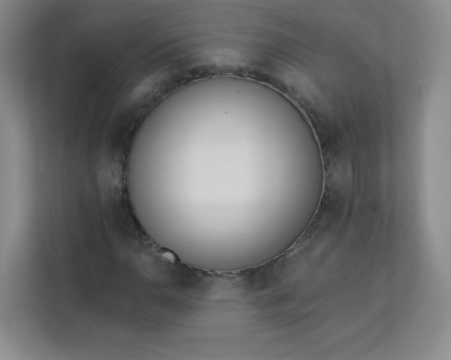 X0000113321110200909281201