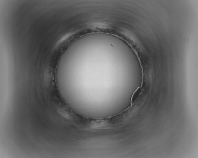 X0000113321112200909281201