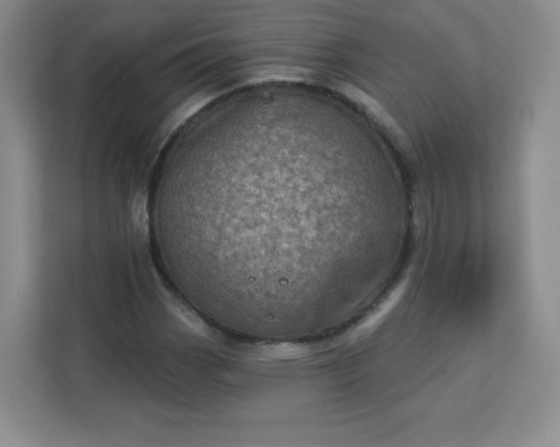 X0000113321113200909281201