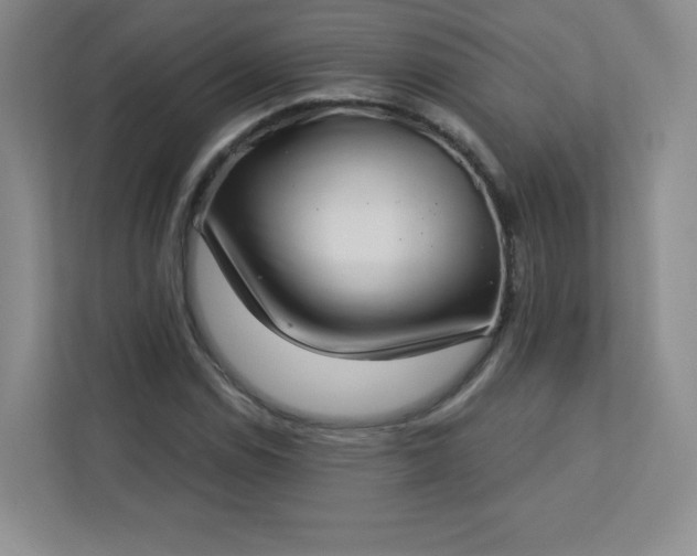 X0000113321114200909281201