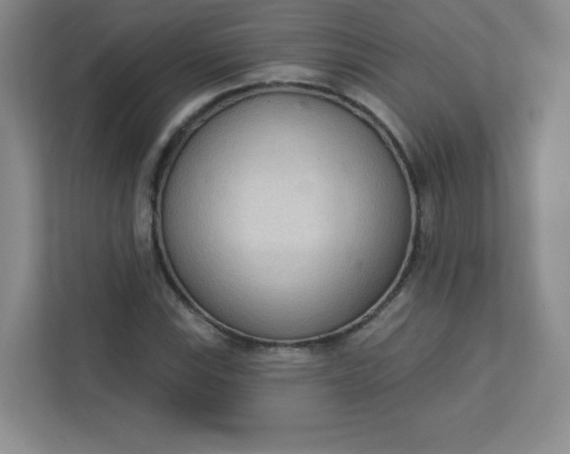 X0000113321115200909281201