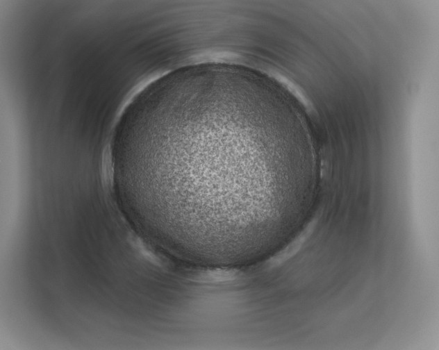 X0000113321117200909281201