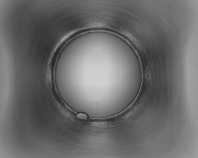 X0000113321118200909281201