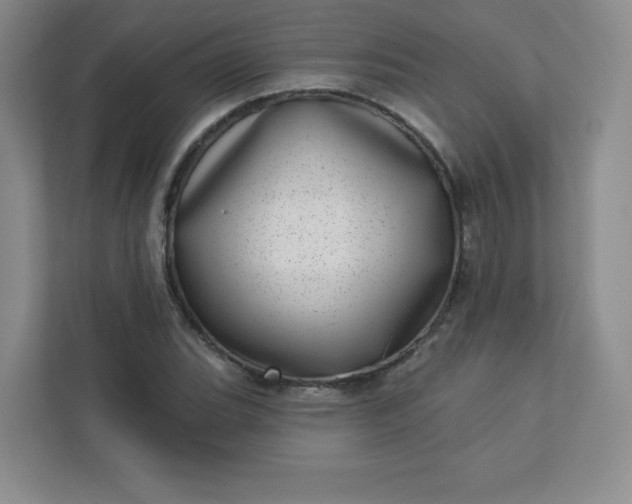 X0000113321119200909281201