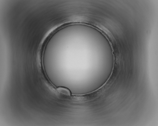 X0000113321120200909281201