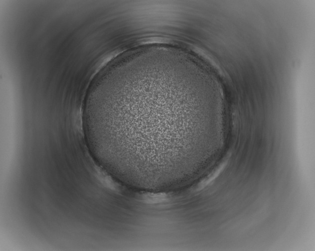 X0000113321121200909281202