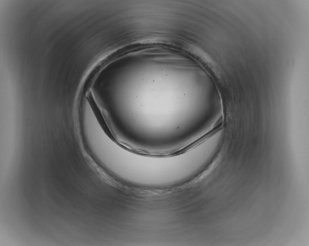 X0000113321122200909281202