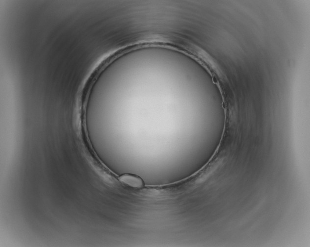 X0000113321124200909281202