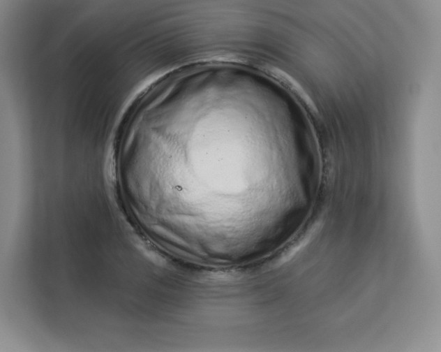 X0000113321125200909281202