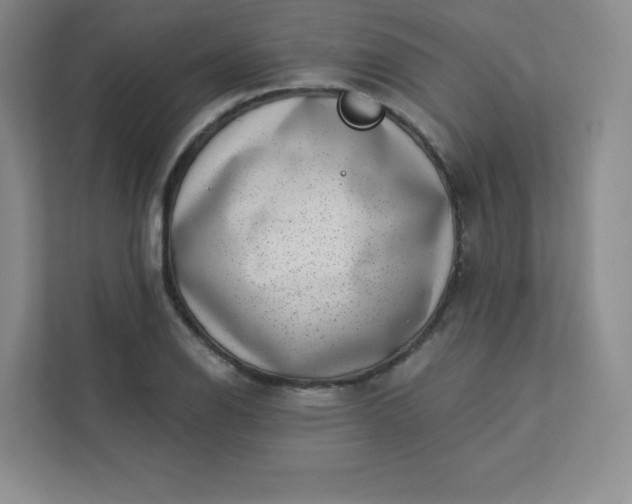 X0000113321126200909281202